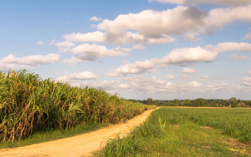 Ação Civil Pública ambiental que exigia instituição de reserva legal em imóvel rural é extinta