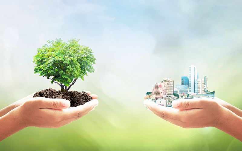 Compensação ambiental: oportunidade para regularizar empreendimentos urbanos e imóveis rurais